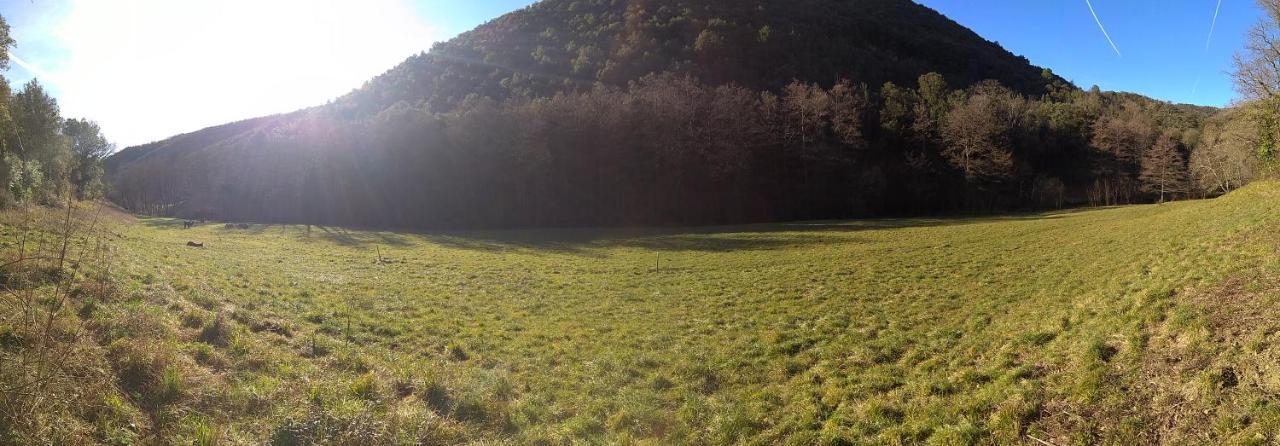 Chambre Cévennes: Piscine, lamas, rivière Cros  Extérieur photo