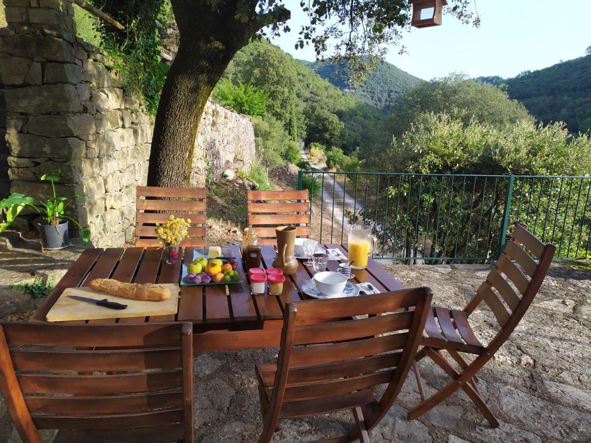 Chambre Cévennes: Piscine, lamas, rivière Cros  Extérieur photo