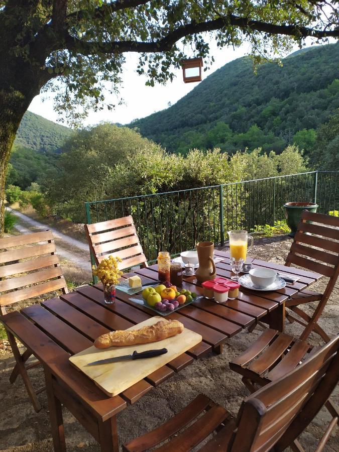 Chambre Cévennes: Piscine, lamas, rivière Cros  Extérieur photo
